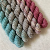 GIRLS TRIP // Bite-Size Mini Set of 5 // Hand Dyed Yarn