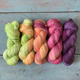 BC ORCHARDS FADE // PAQUETE DE 5 MADEJAS // Elija su peso de hilo