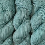 PUDDLE JUMPING // Hand Dyed Yarn // Tonal Yarn