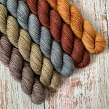 HOMESTEAD // Bite-Size Mini Set of 5 // Hand Dyed Yarn