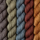 HOMESTEAD // Bite-Size Mini Set of 5 // Hand Dyed Yarn