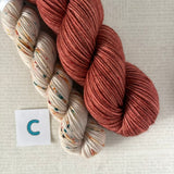 APPETIZER SOCK SETS - 50g Half Skein w/ Coordinating 20g Mini