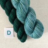 APPETIZER SOCK SETS - 50g Half Skein w/ Coordinating 20g Mini