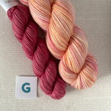 APPETIZER SOCK SETS - 50g Half Skein w/ Coordinating 20g Mini
