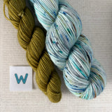 APPETIZER SOCK SETS - 50g Half Skein w/ Coordinating 20g Mini