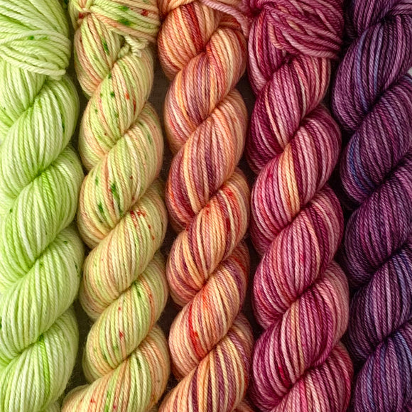 BC ORCHARDS // Bite-Size Mini Set of 5 // Hand Dyed Yarn
