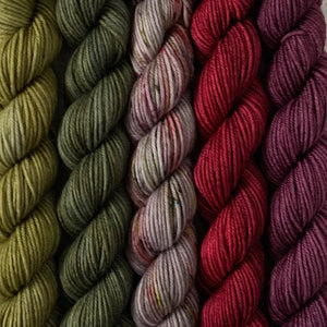 HOMEGROWN // Bite-Size Mini Set of 5 // Hand Dyed Yarn