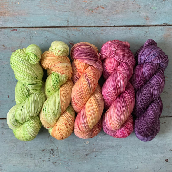 BC ORCHARDS FADE  // 5 SKEIN BUNDLE // Choose Your Yarn Weight