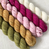 WILD ROSE // Bite-Size Mini Set of 5 // Hand Dyed Yarn