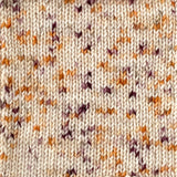 RUM & RAISIN // Hand Dyed Yarn // Speckled Variegated Yarn