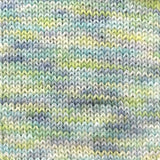 LIVING WALL // Hand Dyed Yarn // Variegated Yarn